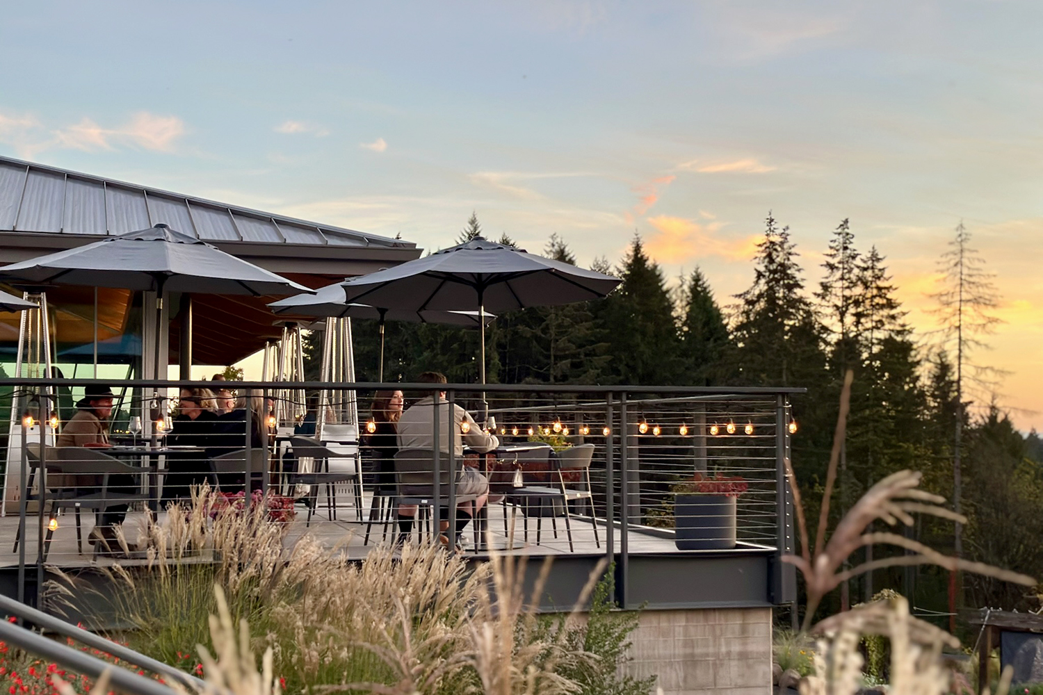 2023 REX HILL Sims Vineyard Pinot Noir | REX HILL