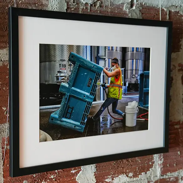 Cleaning at Rex Hill by Adrian Chitty.