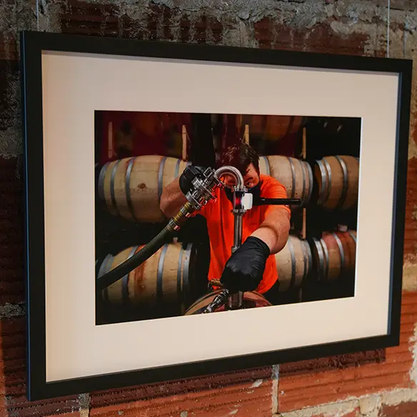 Racking at Rex Hill by Adrian Chitty.