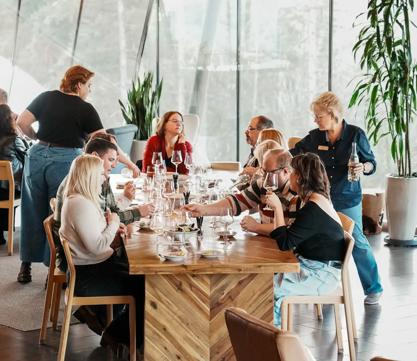 A large group enjoying food and wine at Rex Hill.