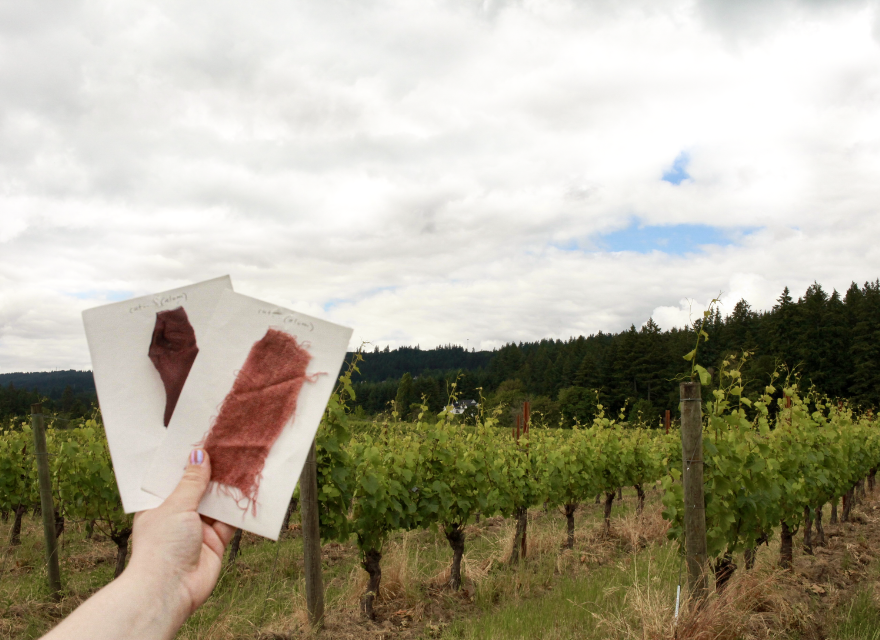 Wine-dyed fabric samples held up in front of a REX HILL vineyard.